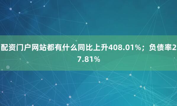 配资门户网站都有什么同比上升408.01%；负债率27.81%