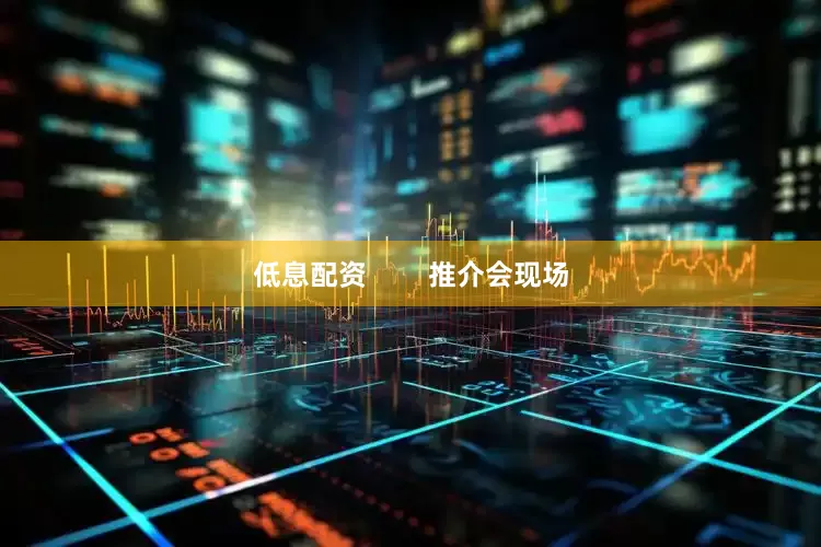 低息配资        推介会现场