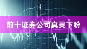前十证券公司真灵下盼