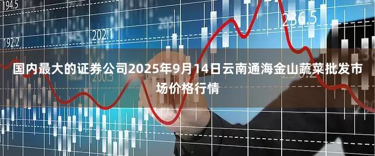 国内最大的证券公司2025年9月14日云南通海金山蔬菜批发市场价格行情